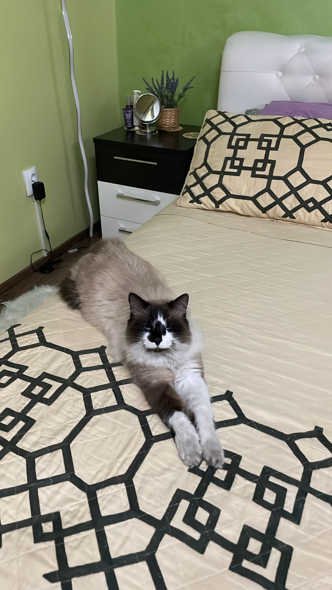 Imagine suplimentară